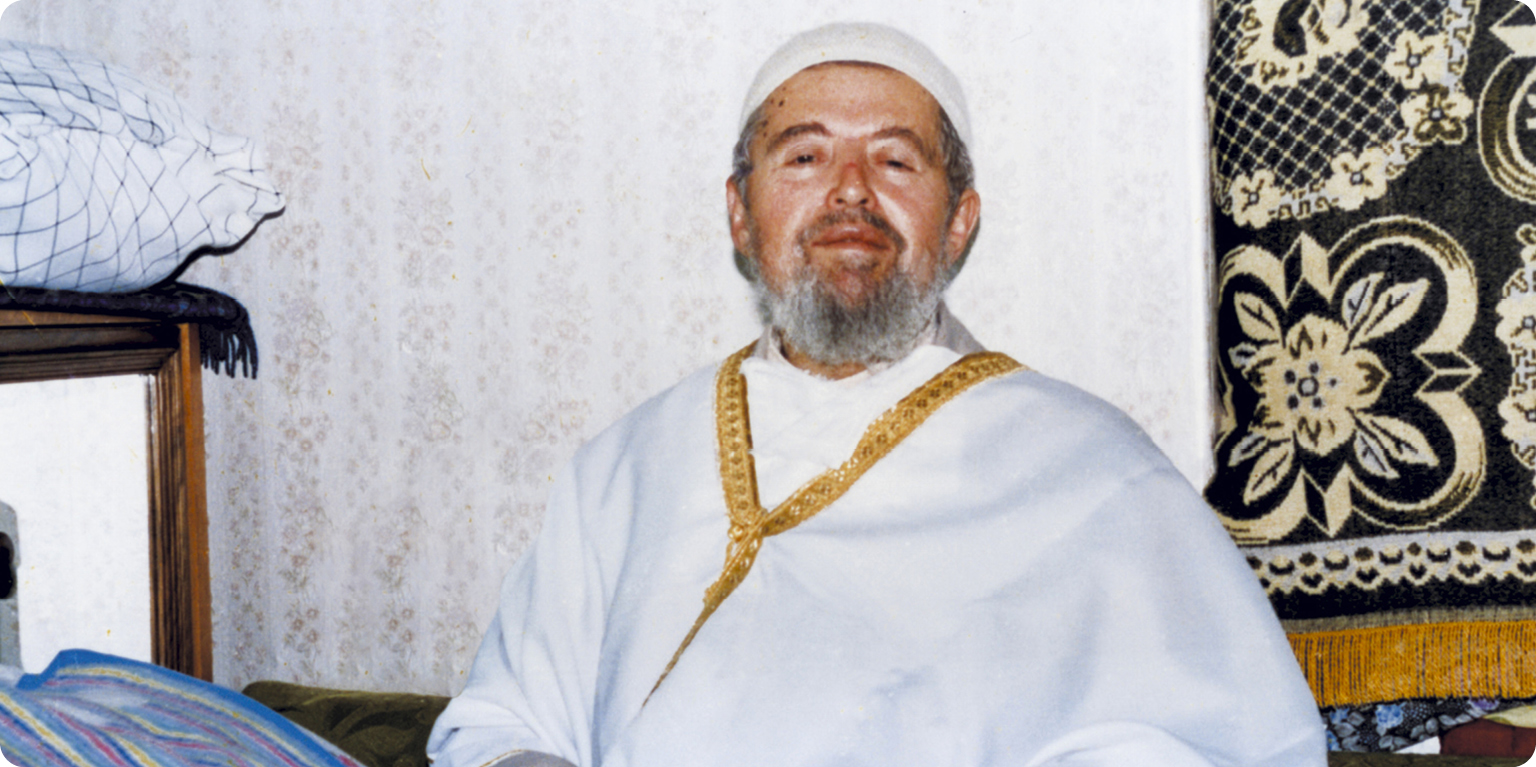 Efendilerimizi Anlayabilmek