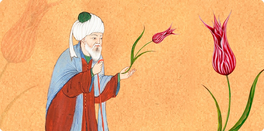 Hikmet ve Mânâ -5