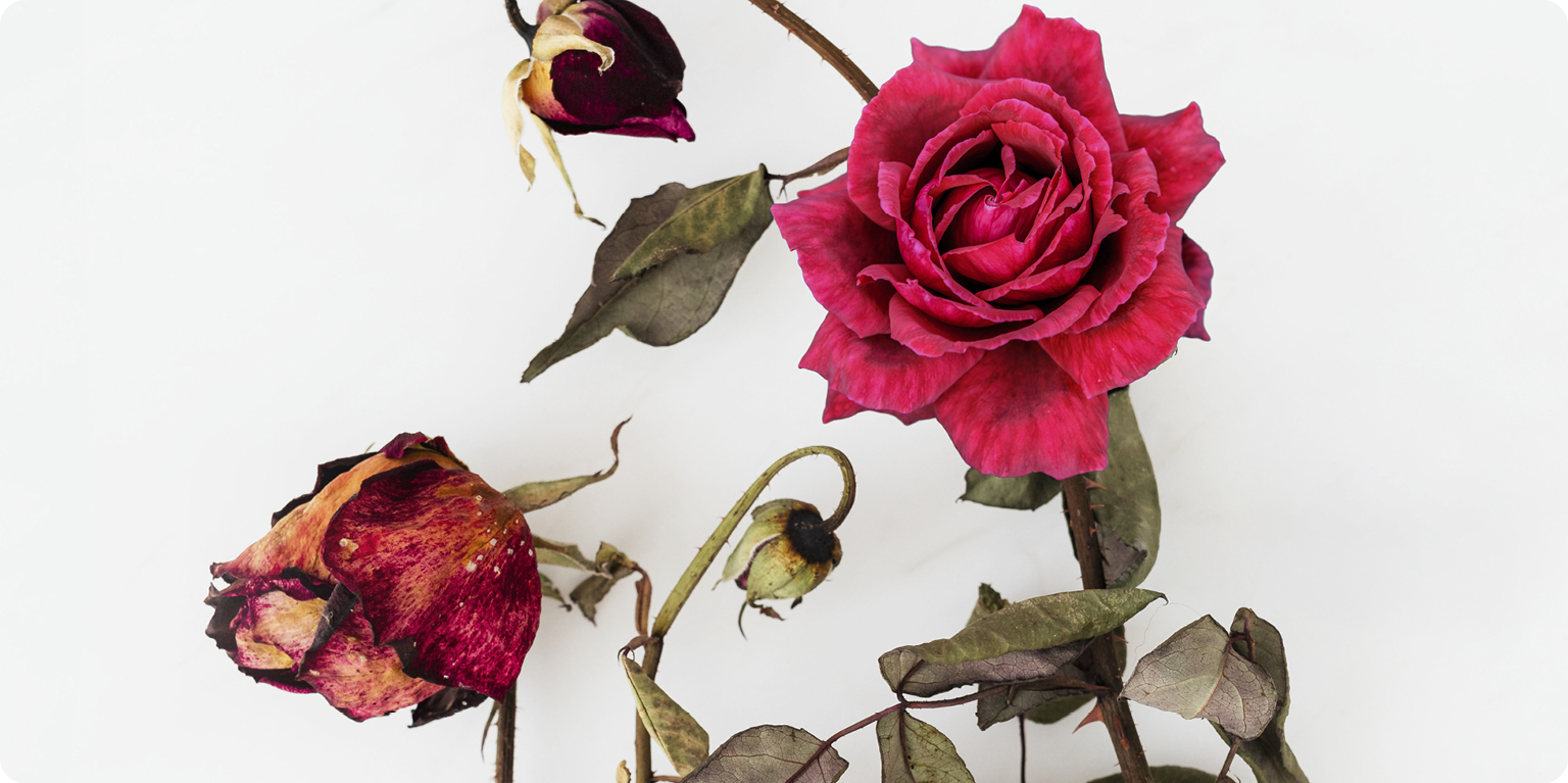 İstikametin Ölçüleri ve İstikamet Üzere Olanlar